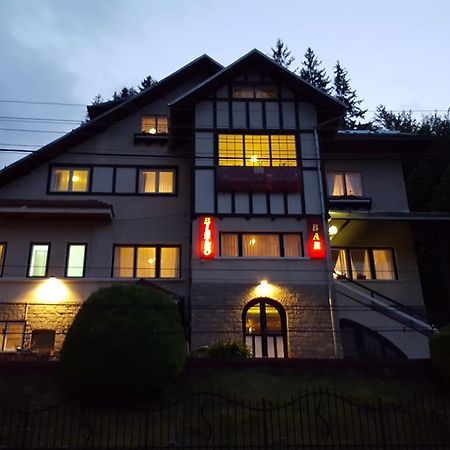 Vila Gabriel Sinaia Kültér fotó
