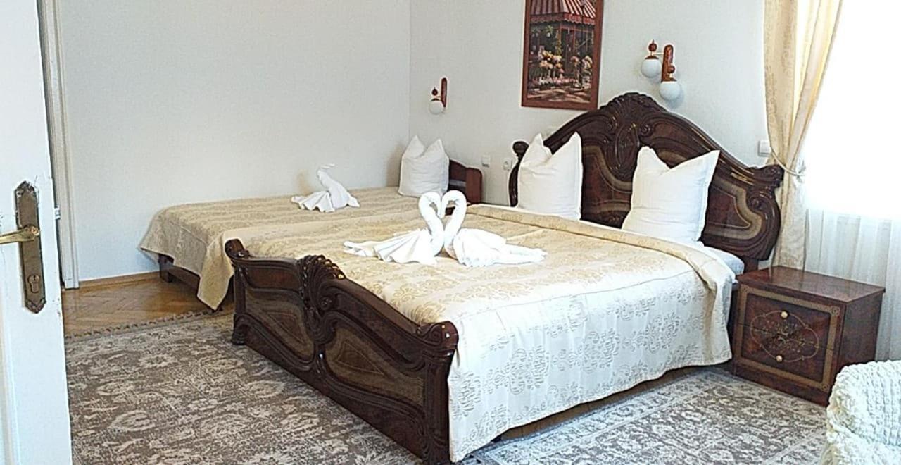 Vila Gabriel Sinaia Kültér fotó
