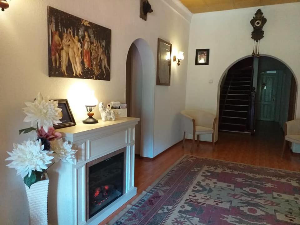 Vila Gabriel Sinaia Kültér fotó