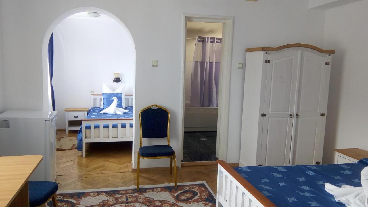 Vila Gabriel Sinaia Kültér fotó