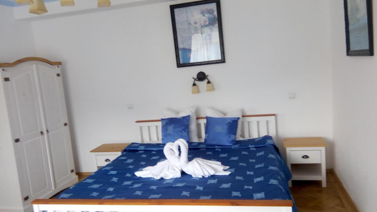 Vila Gabriel Sinaia Kültér fotó