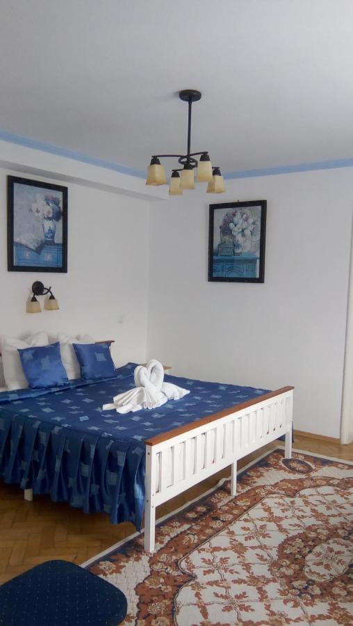 Vila Gabriel Sinaia Kültér fotó