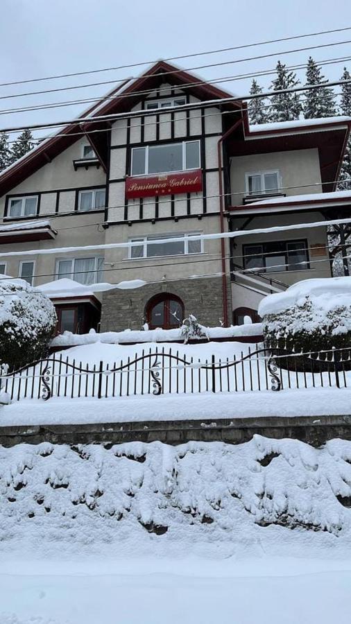 Vila Gabriel Sinaia Kültér fotó