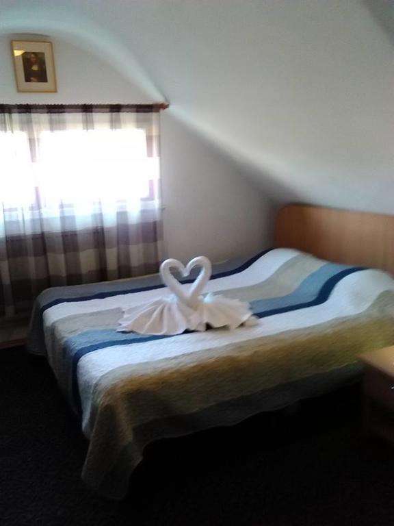 Vila Gabriel Sinaia Kültér fotó