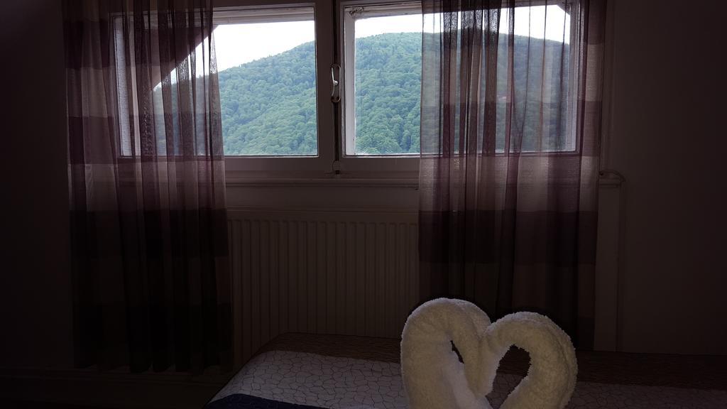 Vila Gabriel Sinaia Kültér fotó