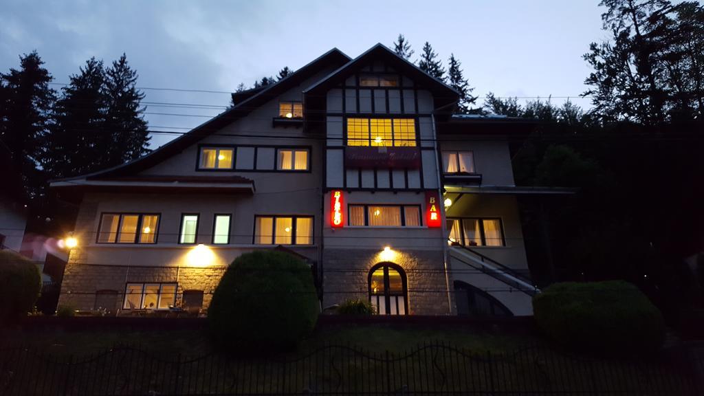 Vila Gabriel Sinaia Kültér fotó
