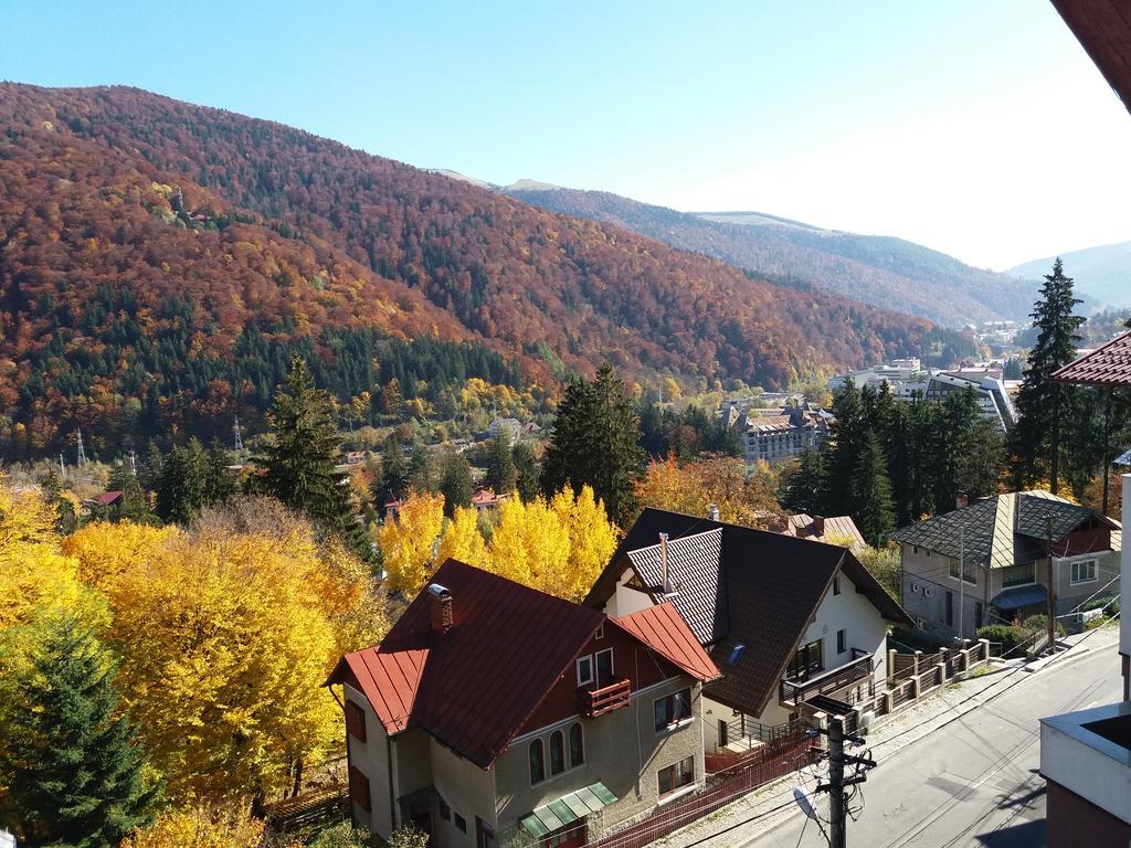 Vila Gabriel Sinaia Kültér fotó