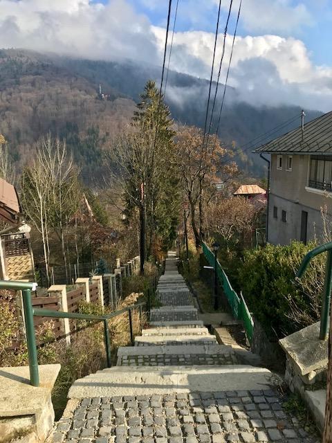 Vila Gabriel Sinaia Kültér fotó