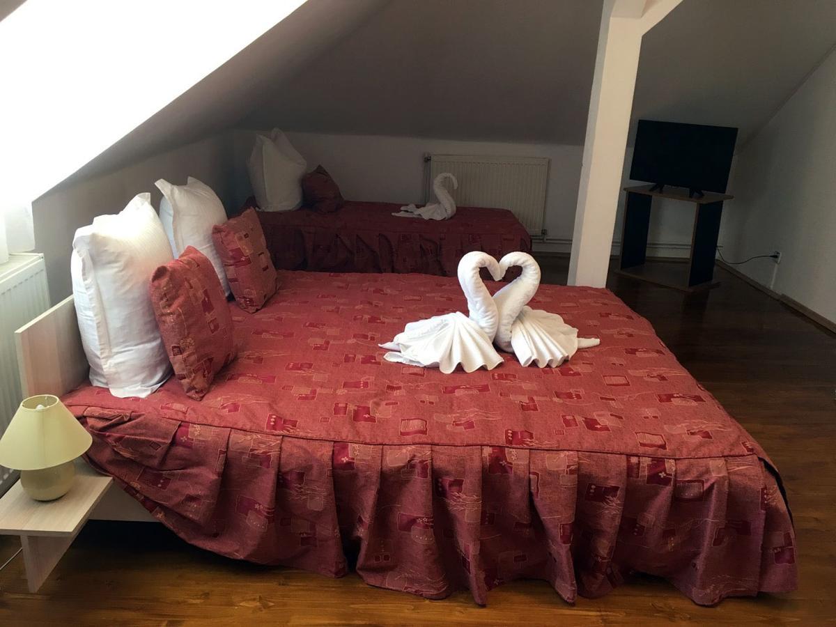 Vila Gabriel Sinaia Kültér fotó