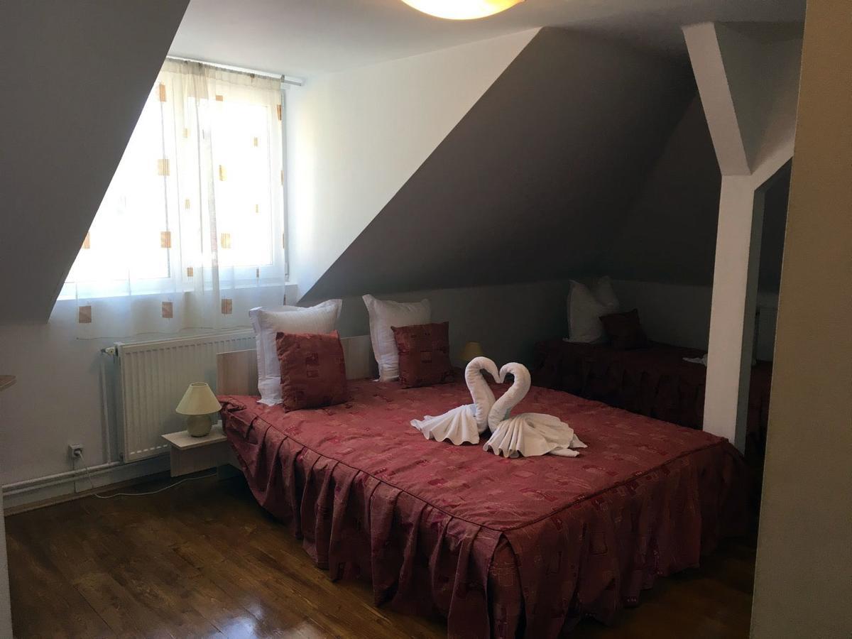 Vila Gabriel Sinaia Kültér fotó