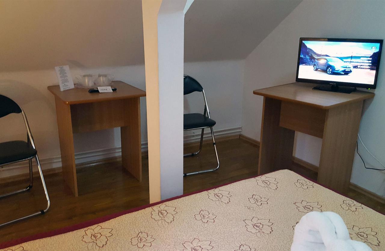 Vila Gabriel Sinaia Kültér fotó
