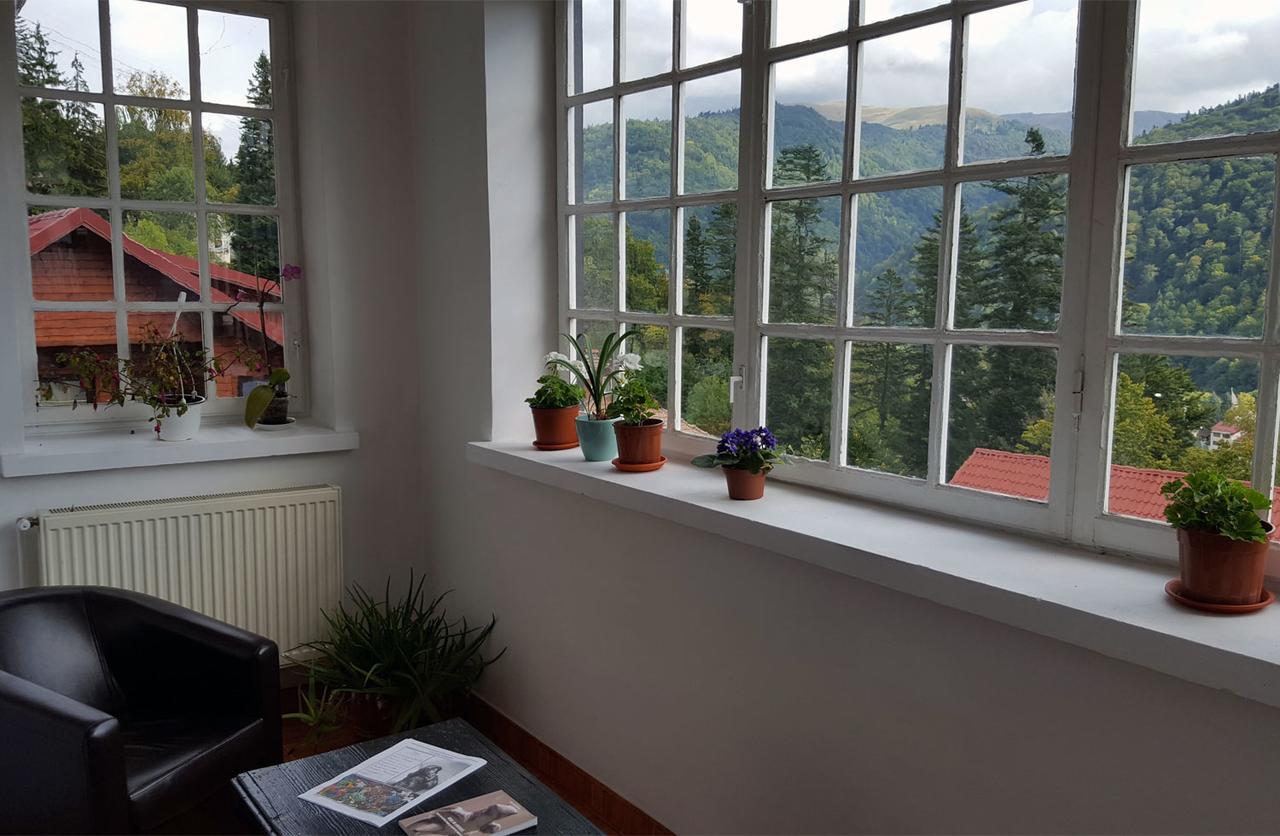 Vila Gabriel Sinaia Kültér fotó