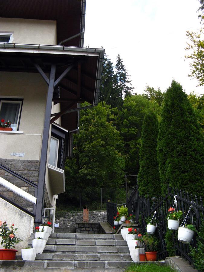 Vila Gabriel Sinaia Kültér fotó
