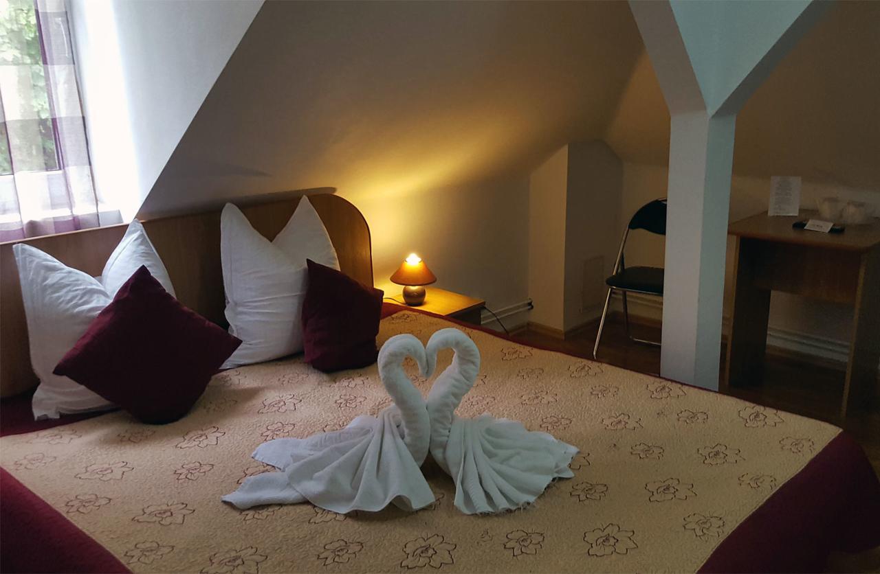 Vila Gabriel Sinaia Kültér fotó