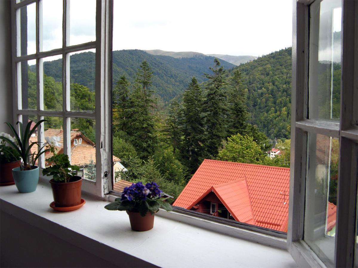 Vila Gabriel Sinaia Kültér fotó