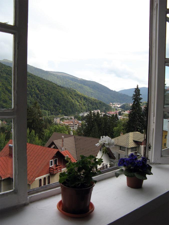 Vila Gabriel Sinaia Kültér fotó