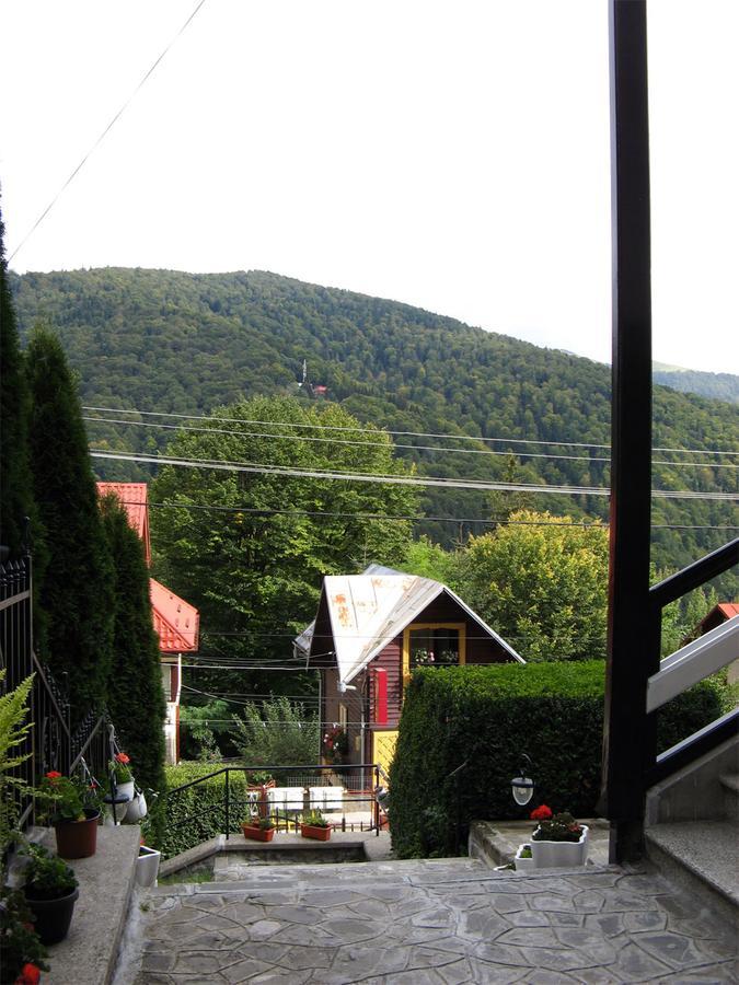 Vila Gabriel Sinaia Kültér fotó
