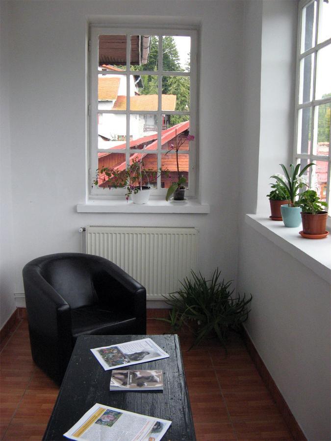 Vila Gabriel Sinaia Kültér fotó
