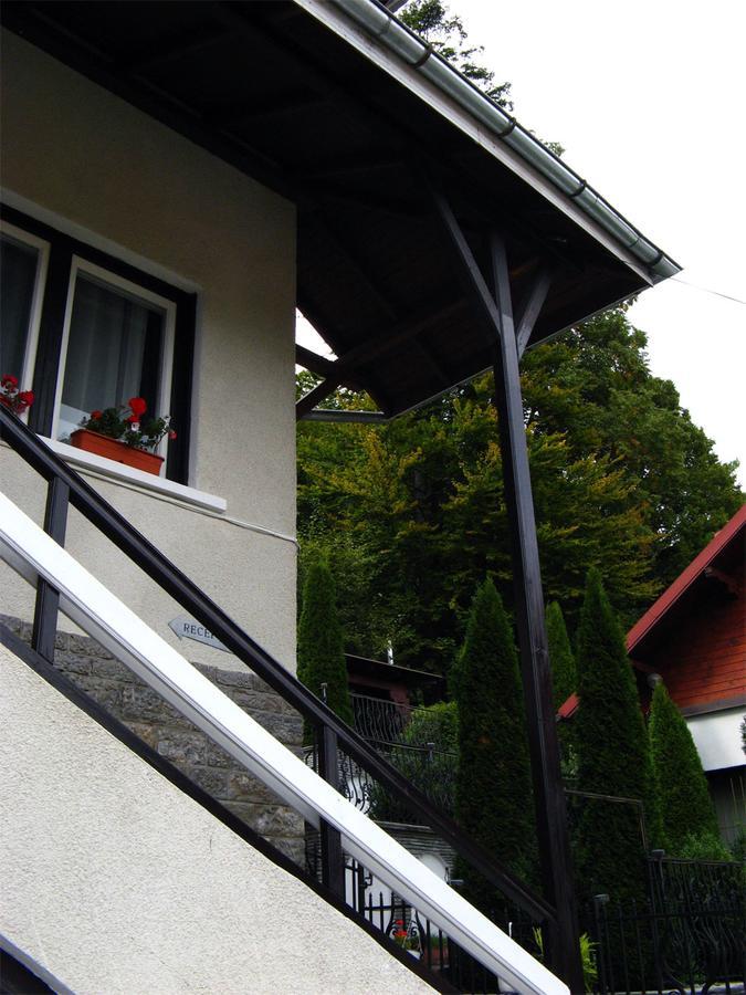 Vila Gabriel Sinaia Kültér fotó