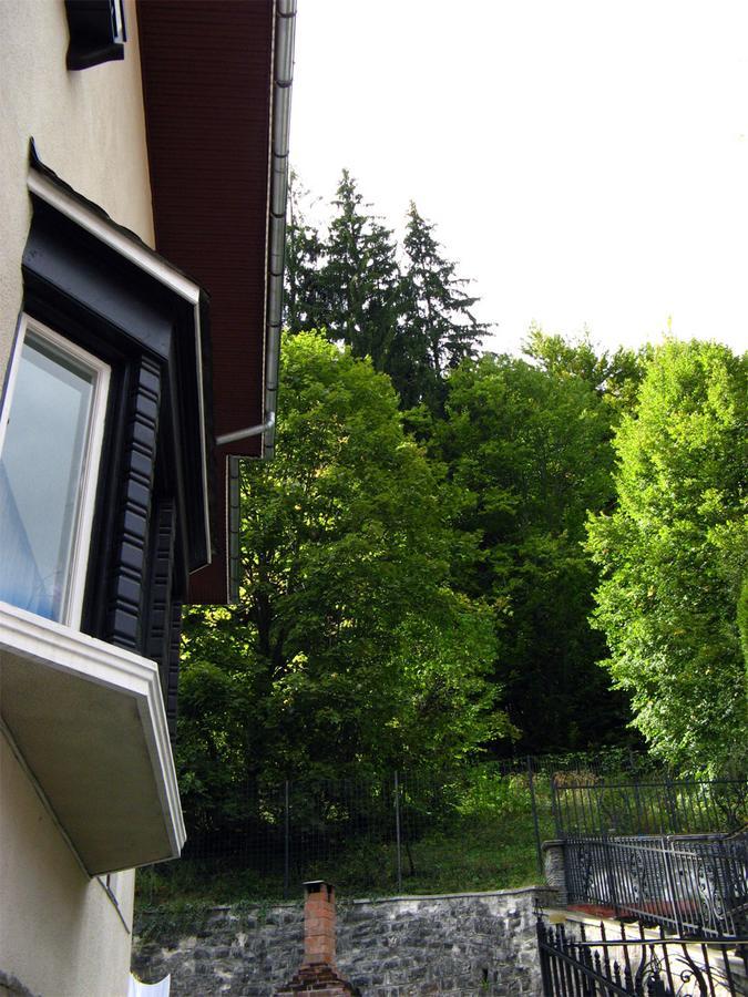 Vila Gabriel Sinaia Kültér fotó